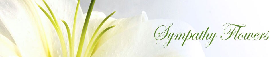 Sympathy Banner